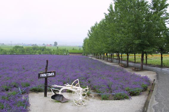 lvd03_1151829331[1].jpg